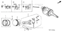 PISTON   VILEBREQUIN pour Honda F401K2