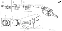 PISTON   VILEBREQUIN pour Honda F560K4