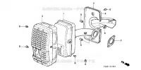 SILENCIEUX  (P) pour Honda F700