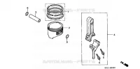 PISTON   BIELLE pour Honda WN20