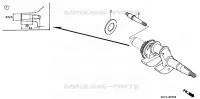VILEBREQUIN pour Honda WN20