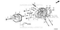 CULASSE  (2) pour Honda WT30XK4
