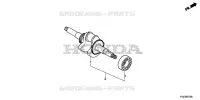 VILEBREQUIN pour Honda WT30XK4