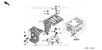 PROTECTEUR SILENCIEUX pour Honda HS624K2