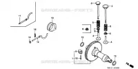 ARBRE A CAMES  (WT20/WT30) pour Honda WT30