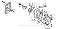 CARTER / ROUE MOBILE pour Honda WT30