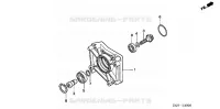 PIECES DIVERSES  (COUVERCLE CONIQUE) pour Honda GX160U1