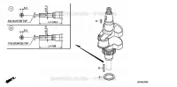 VILEBREQUIN pour Honda GXV630R