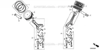 PISTON  (2) pour Honda EM10000K1