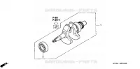 VILEBREQUIN pour Honda EU10IK1