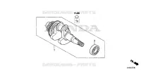 VILEBREQUIN pour Honda EU22IT